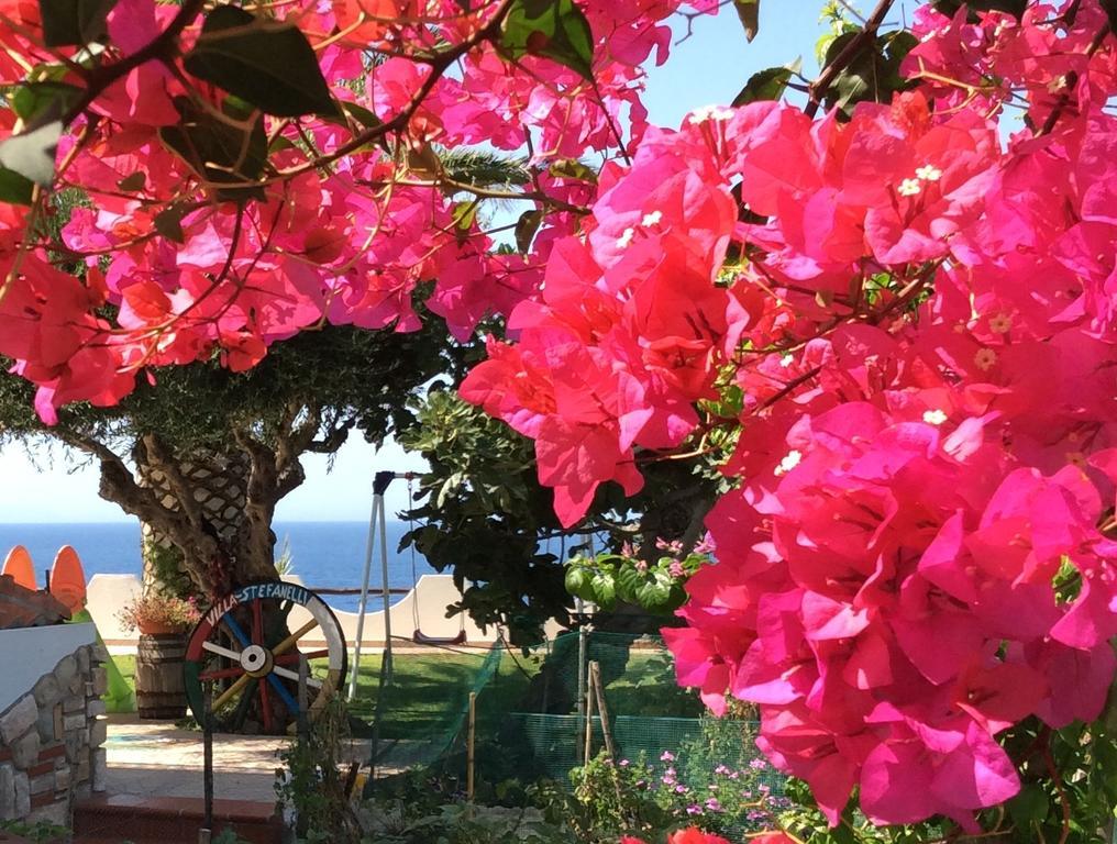 Residenza Stefanelli Lägenhet Capo Vaticano Exteriör bild