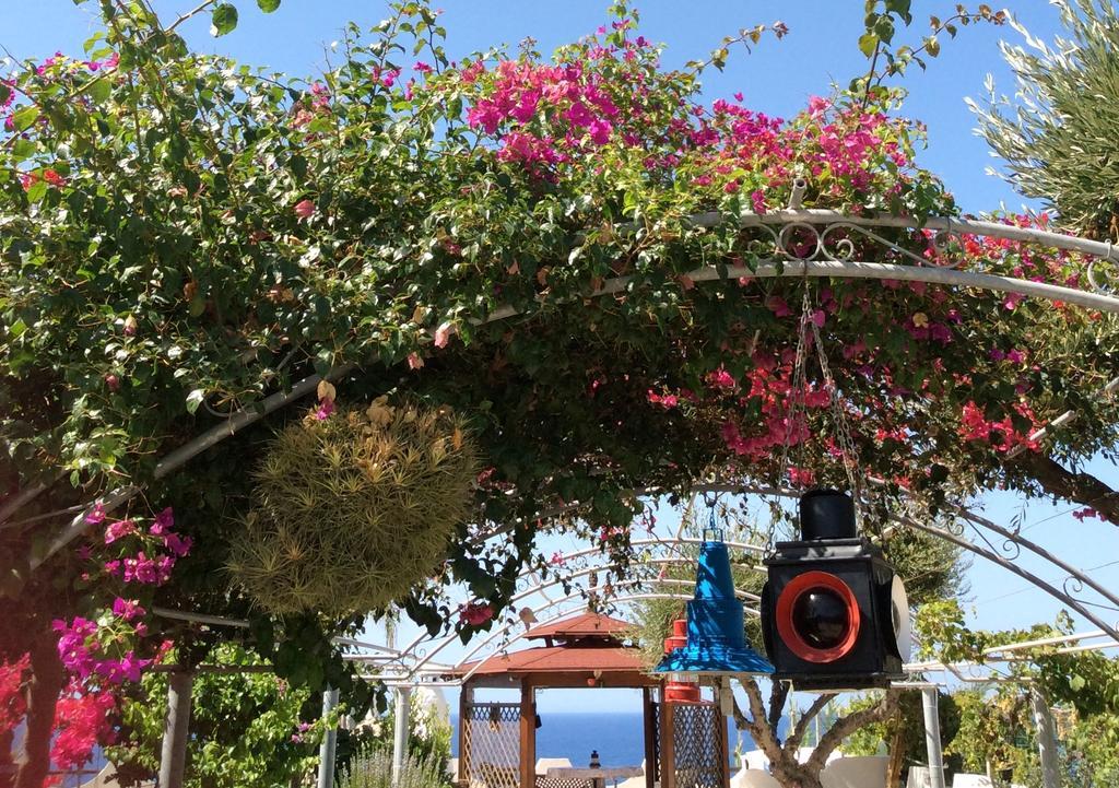 Residenza Stefanelli Lägenhet Capo Vaticano Exteriör bild